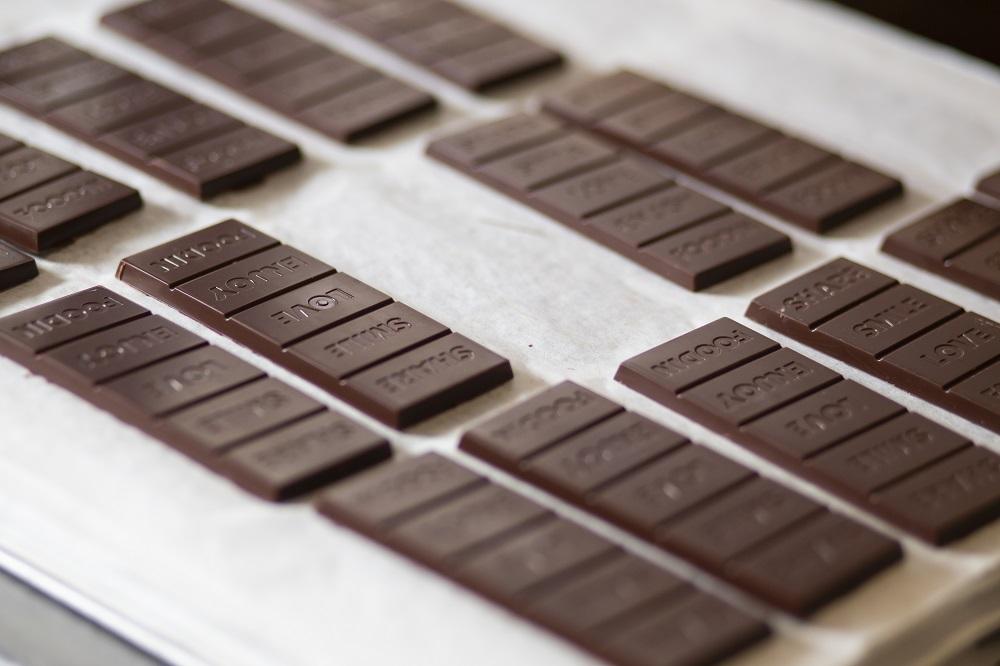 【FOODIN】Raw Chocolate Gingerbread 51%, Organic 40g|ローチョコレート ジンジャーブレット 単品